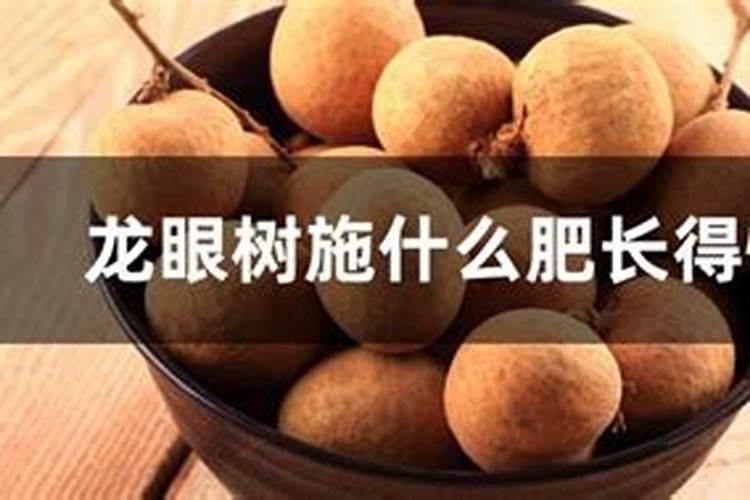 龙眼施什么肥比较好