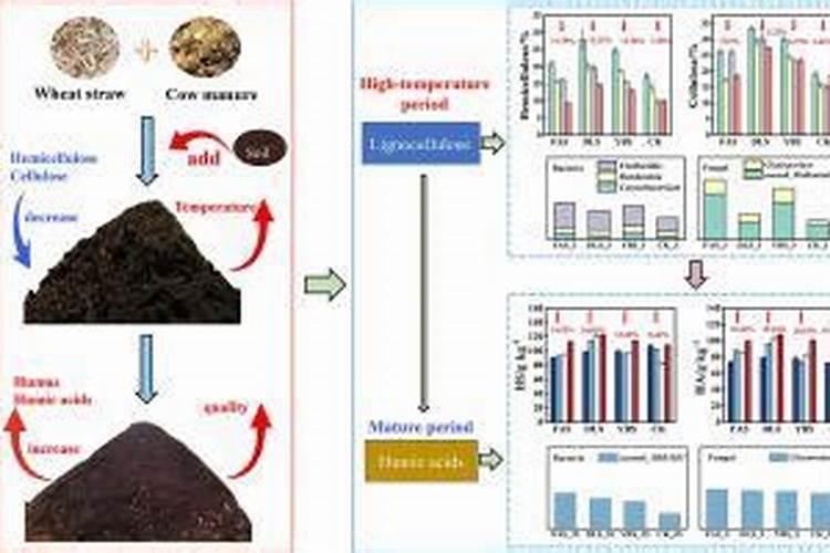 用什么肥好 栀子花施肥方法