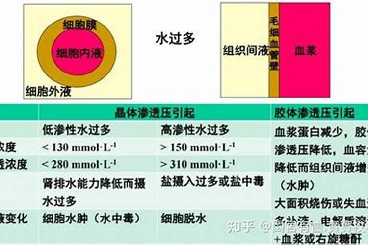 硫酸亚铁的作用