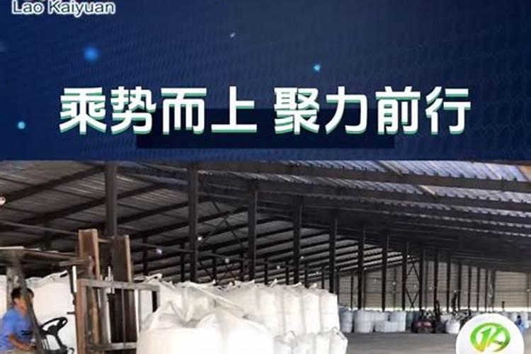 中国钾肥前十名上市公司