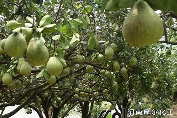淘宝店铺注册什么商标