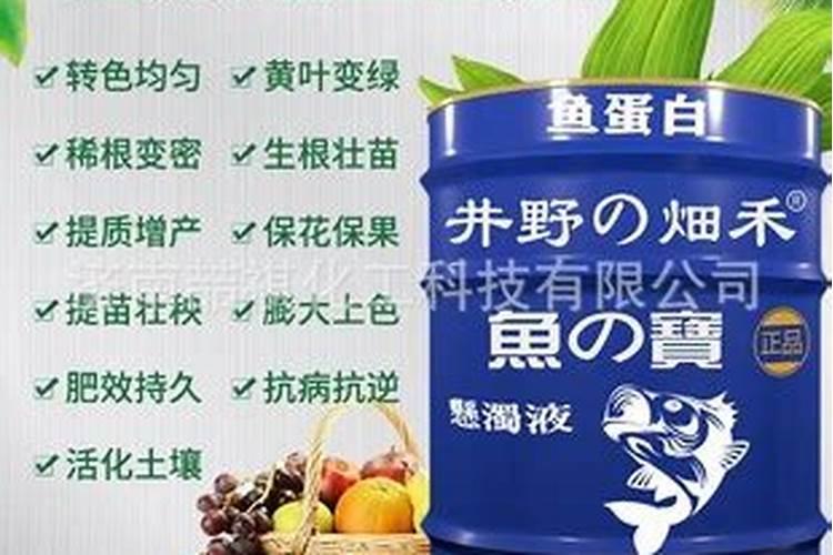 十斤水加多少克鱼蛋白原浆合适
