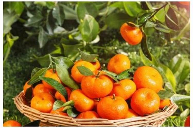 三十烷醇和芸苔素区别