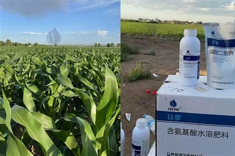 速绿120叶面肥可搭配什么肥料效果更好呢？