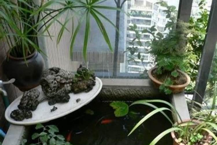 花卉的肥料有什么特点