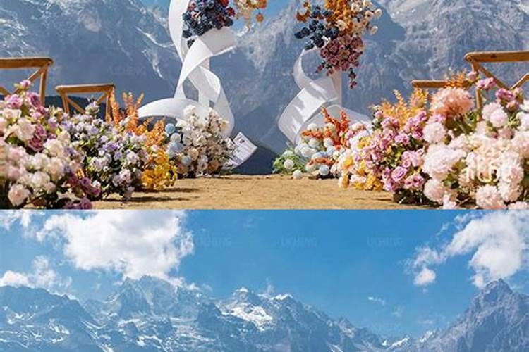 有机水溶肥是什么肥料