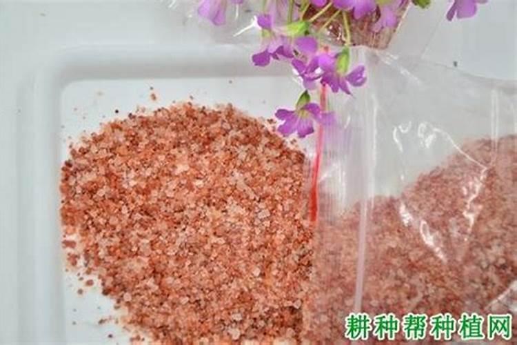 中粮屯河股份有限公司的主要产品