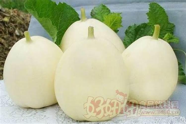 甜瓜裂果怎么预防