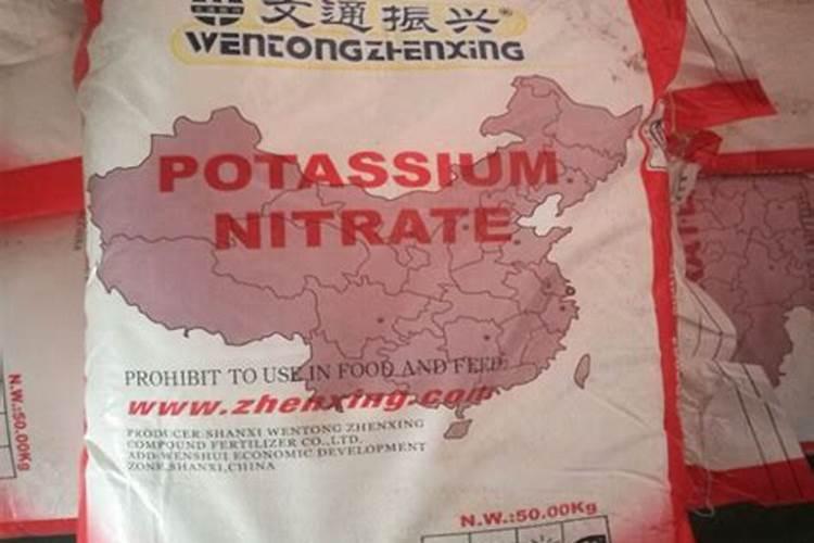 脐橙采果后,先清院还是先施肥呢？施肥要注意些什么呢？