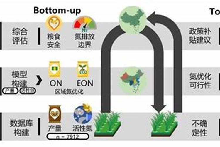 万年青花怎么养