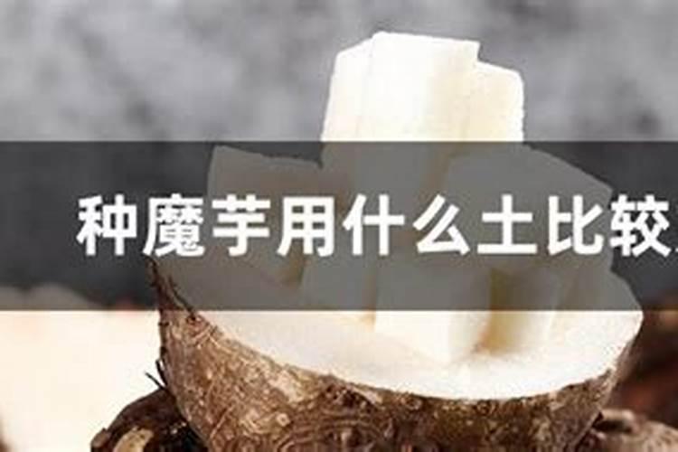 大蒜用含氯的化肥行吗