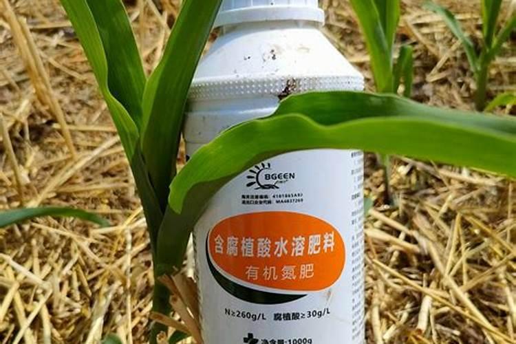 花多多是喷叶还是灌根