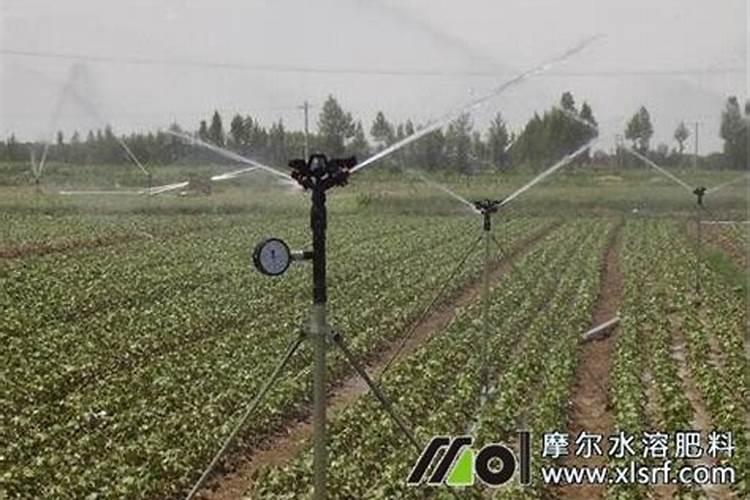 伊利谷粒多燕麦牛奶营养丰富,体验升级