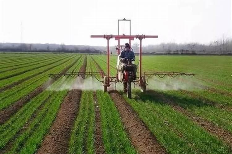 赶走鸟最狠三个妙招