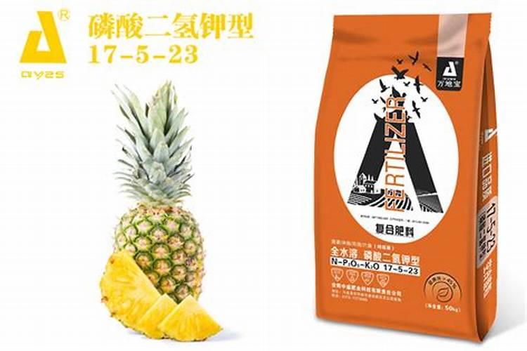 菠萝秋果开花后,该怎么管理？