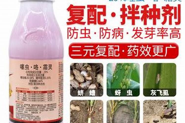 玉米种肥施什么肥好
