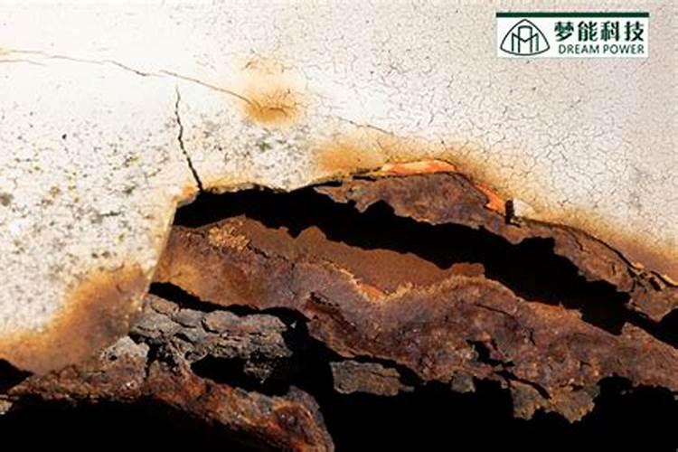 栀子花新长的叶子不太绿,怎么回事？