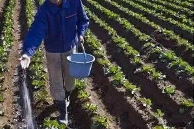 农富天下水溶肥价格