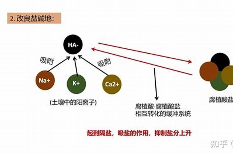 黄腐酸钾和腐殖酸钠有什么区别,都有什么作用呢？