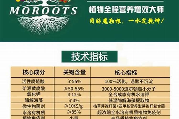 黄瓜叶片薄 而黄茎杆也比较细,近段时间如何管理。