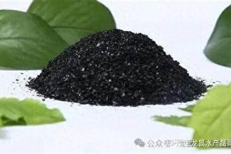 芽孢,红糖,和腐植酸钠一起水产养殖中混合用的效果