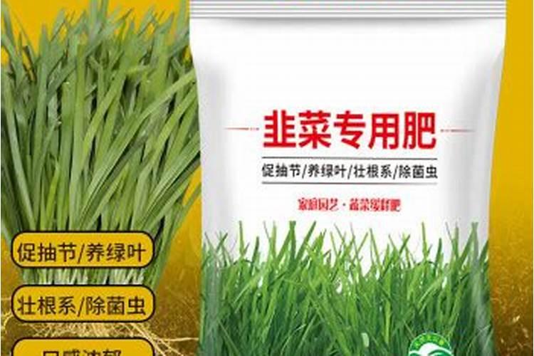 韭菜用什么肥料长得又肥又壮(用什么肥料叶子又粗又黑)
