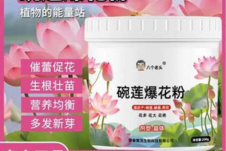 什么样的肥料适合所有花都用、什么肥料能促进开花