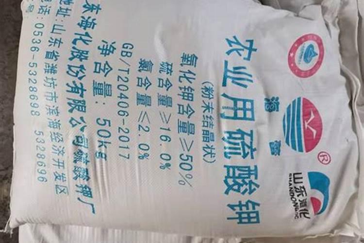 盐碱地稻田改成旱田种玉米用啥肥好？