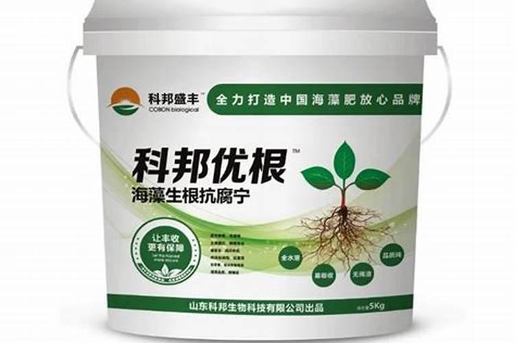 硝酸铵钙和硝酸钾和磷酸二铵混在一起冲施吗？