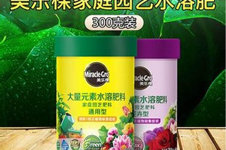 玉米施肥最佳时间