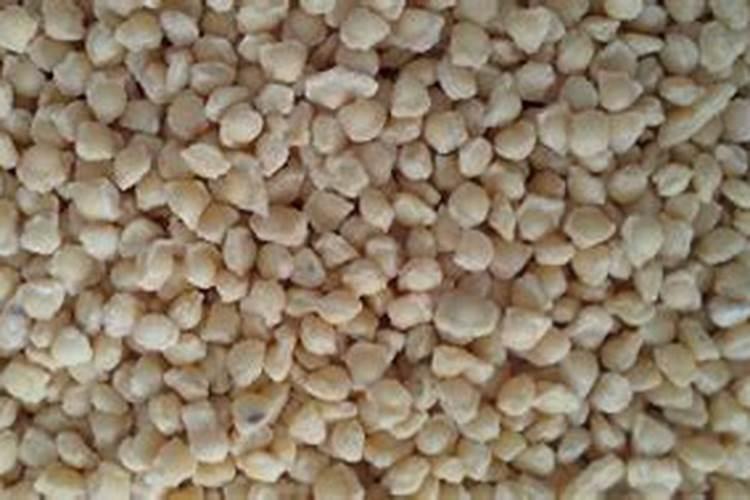 为什么要强调深施肥？