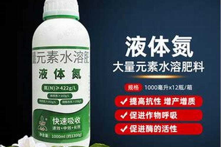 刚移栽的草莓苗都蔫了怎么办 ？