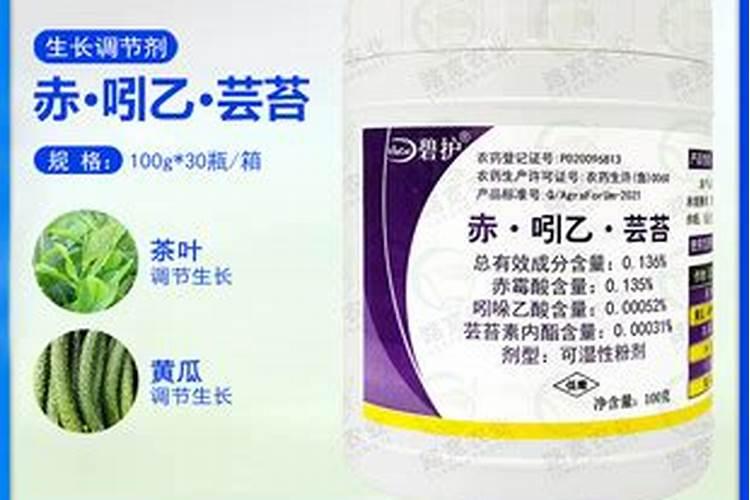 宝莲灯烂叶子原因及处理方法