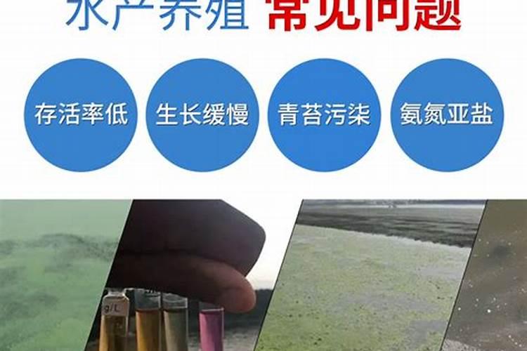 黄腐酸钾和矿源黄腐酸钾有什么区别