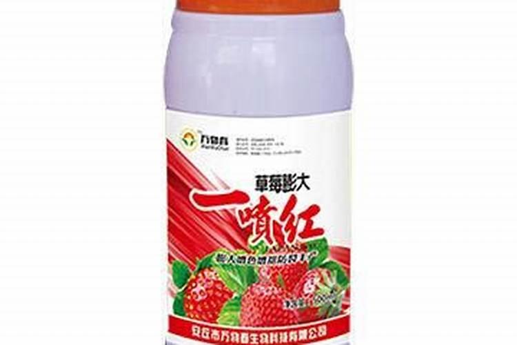 影响草莓开花的因素有哪些呢？怎样促进花芽分化呢？