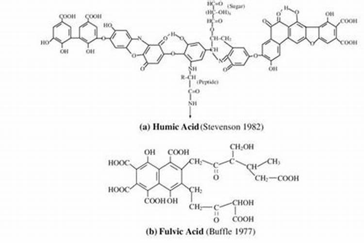 市场上的黄腐酸种类繁多,质量参差不齐,该如何选择呢？