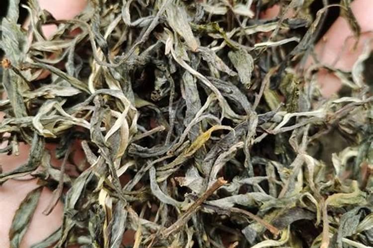 种植茶叶有什么技术？