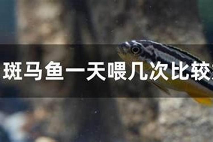 水稻施用氮肥过量有何危害