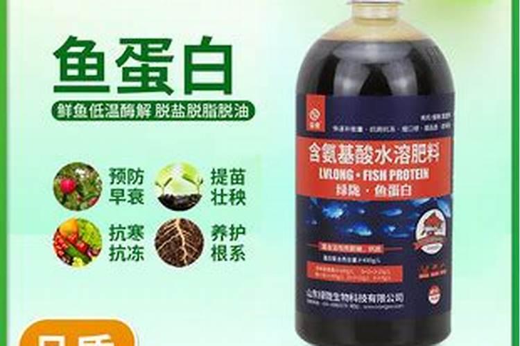 鱼蛋白液体肥使用方法鱼蛋白肥料使用方法