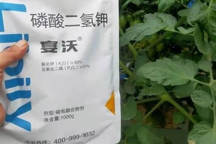 有机钾肥有哪些？
