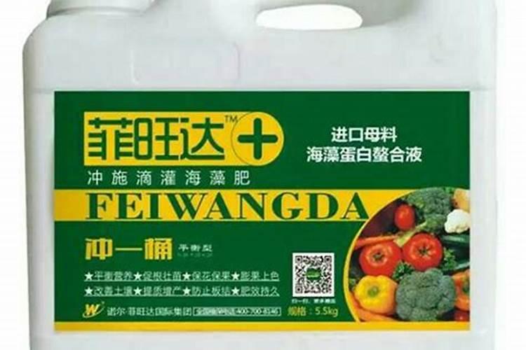 散尾竹喜阴还是喜阳