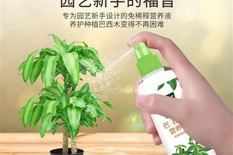 烂苹果可以做肥料吗