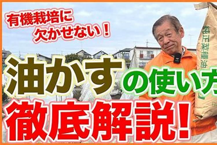 菜籽粕怎么发酵做肥料