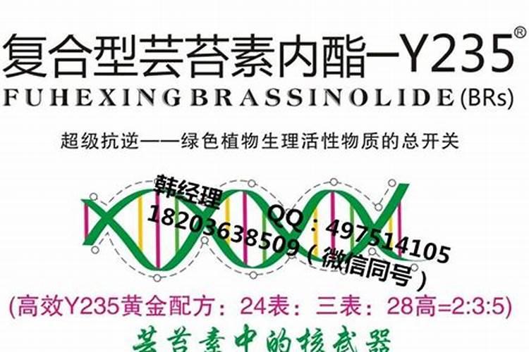保花保果农药最佳配方