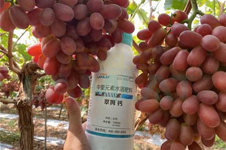 富硒肥是什么？求好心人解答？着急!在线等!