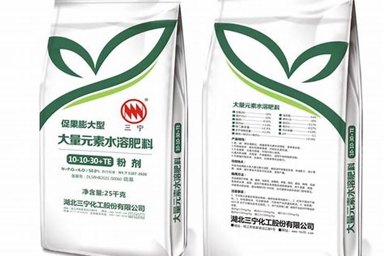 油葵亩产量一般多少斤 分析油葵亩产和收益