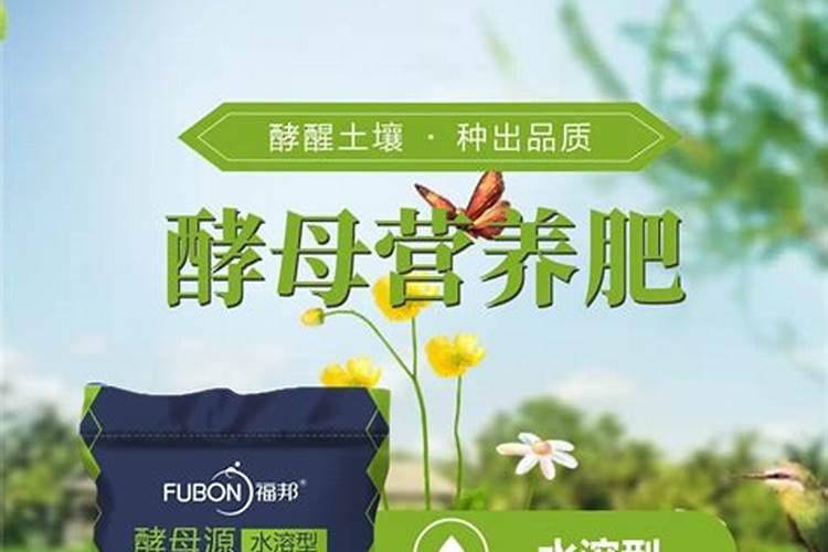水溶肥料有哪些种类 水溶肥选哪种剂型好