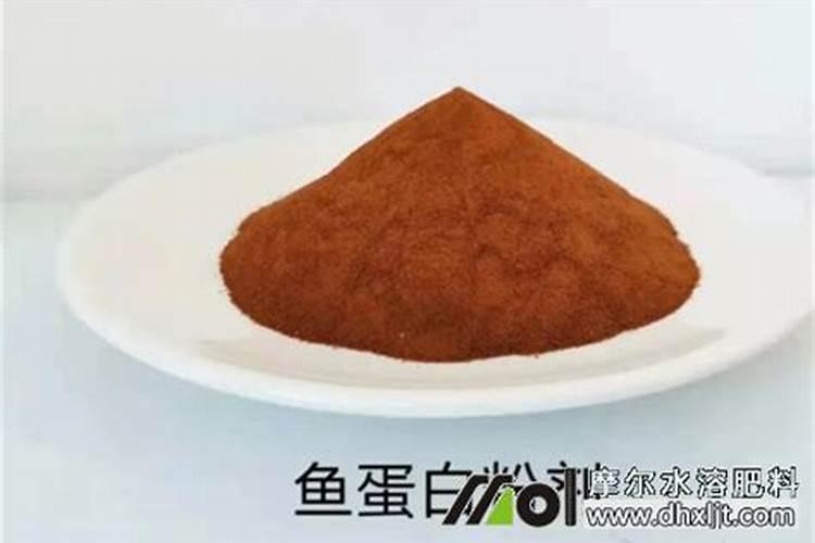 苦瓜种植花期管理