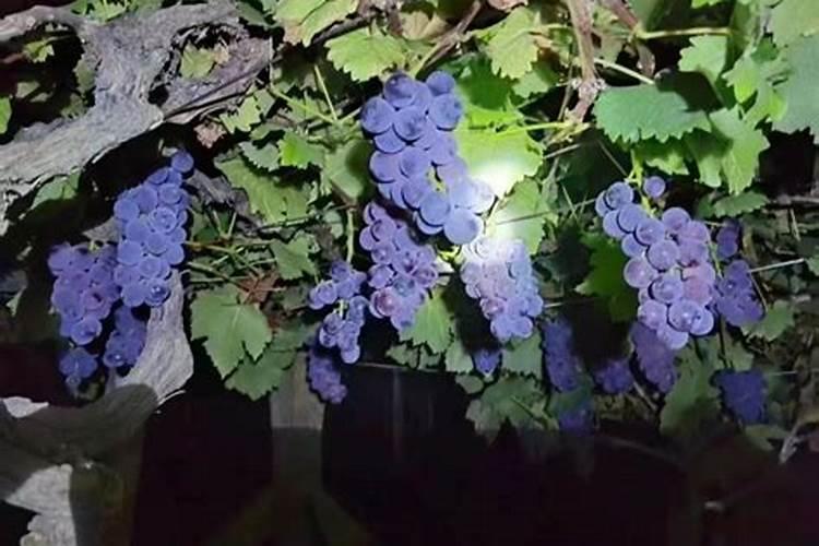 水溶肥生产原料有哪些