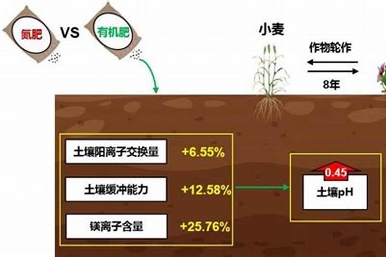 赛固安全鞋的介绍